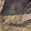 horse-drawn-roll-over-plow-image-6