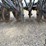 john-deere-8300-grain-drill-image-15