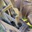 fordson-trackson-f-image-29