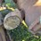 fordson-trackson-f-image-22