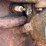 massey-harris-gp-image-52