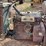 massey-harris-gp-image-56