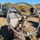 silver-king-three-wheel-image-30