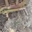 caterpillar-ten-image-10