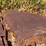 caterpillar-twenty-two-image-10