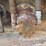 #26678-•-npk-excavator-tamper-image-8