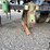 almaco-ak4rpp-corn-planter-image-11