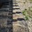 #23976-•-2024-dx-55r-excavator-and-mulching-head-image-46
