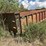 #10588-•-davis-22'-dump-trailer-inv#10588-image-1