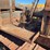 caterpillar-thirty-image-20