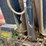 #10589-•-hi-bilt-t/a-20'-dump-trailer-502bb22b6fm009446-inv#10589-image-13