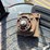 2016-new-holland-260gms-image-92