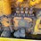 caterpillar-d2-image-48