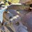 massey-harris-gp-image-10
