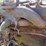 massey-harris-gp-image-13