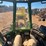 2019-john-deere-6-image-51