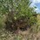 #10588-•-davis-22'-dump-trailer-inv#10588-image-2