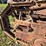 fordson-trackson-f-image-39