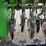 john-deere-8300-grain-drill-image-21