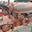 farmall-model-h-tractor---non-running-image-14