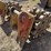 cat-24"-excavator-compaction-wheel-image-5