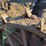 massey-harris-gp-image-43