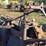 massey-harris-gp-image-35
