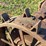 massey-harris-gp-image-25