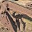 horse-drawn-roll-over-plow-image-9