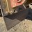 cat-36"-excavator-compaction-wheel-image-9