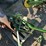 john-deere-1-bottom-plow-image-1