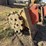 cat-36"-excavator-compaction-wheel-image-1