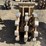 cat-24"-excavator-compaction-wheel-image-6