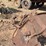 horse-drawn-roll-over-plow-image-11