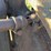 massey-harris-gp-image-45