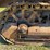 caterpillar-thirty-image-29