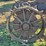 massey-harris-gp-image-44