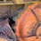 allis-chalmers-m-image-37
