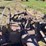 massey-harris-gp-image-23