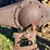 massey-harris-gp-image-29