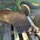 john-deere-1-bottom-plow-image-3