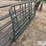 steel-12'-gates-image-12