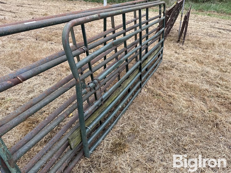 steel-12'-gates-image-12