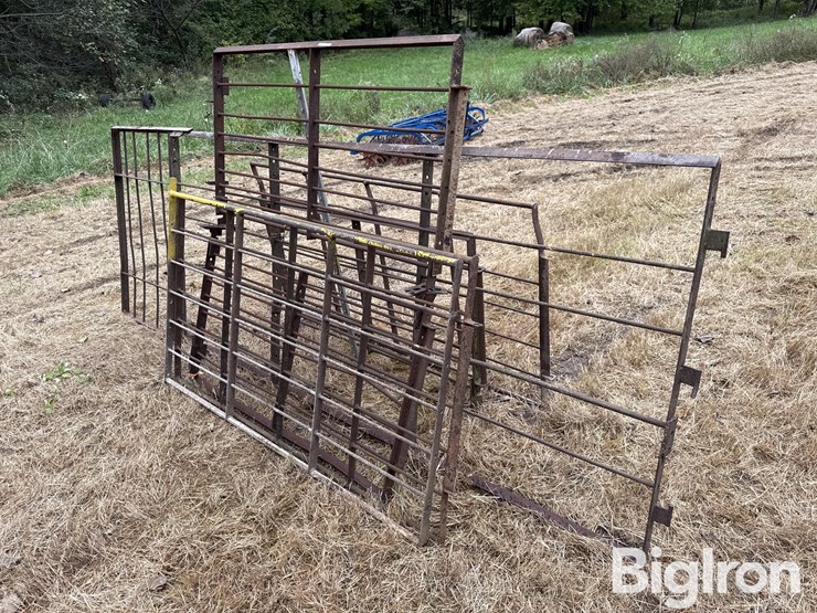 steel-40"-livestock-panels-image-3