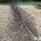 wire-16'-livestock-panels-image-10