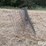wire-16'-livestock-panels-image-2