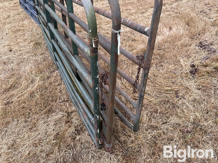 steel-12'-gates-image-13