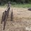 steel-40"-livestock-panels-image-2