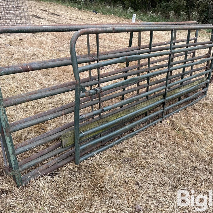 Steel 12' Gates