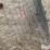 wire-16'-livestock-panels-image-9